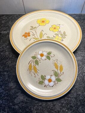 HEARTHSIDE GARDEN FESTIVAL -PRAIRIE FLOWERS Stoneware Dinner and Salad plate set